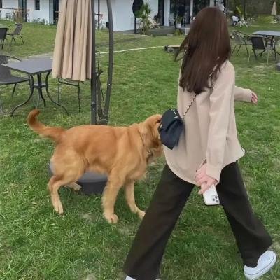 离婚当天我成了大佬的心尖宠